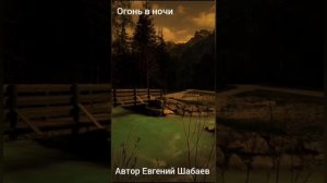 Огонь в ночи. Автор Евгений Шабаев