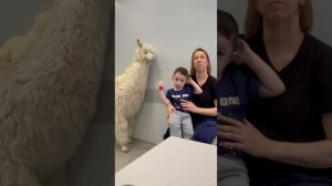 РАС - лечение возможно. Отзыв