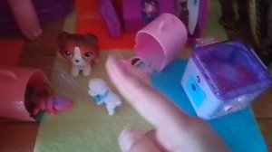 продолжение подарили собаку