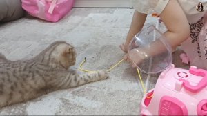 Новый питомец Мирославы Розовая Капибара