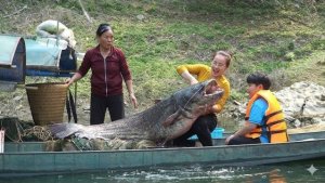 Готовлю блюдо из 7-килограммового сома, сваренного в кислом бульоне по традиционному рецепту. Энн