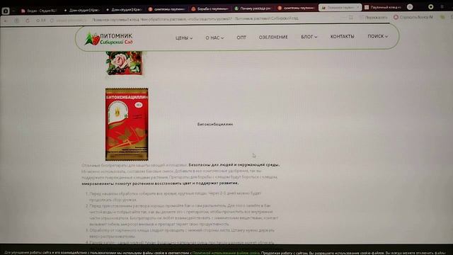 Внимание! Опасные симптомы! Паутинный клещ!