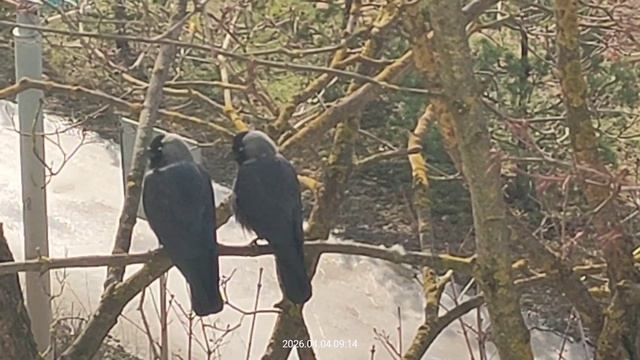 Утренний туалет 😃😃😃😃