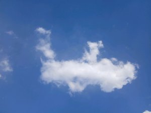 влог/уточки/милка, земляничка и зифирка на связи