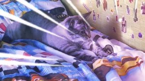 ❤😻🔥Аксель удивлён: что это шевелится под одеялом?🙀😹😍