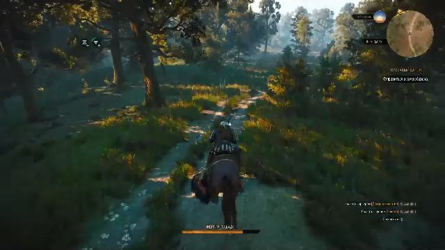 Прохождение Ведьмак 3 Дикая Охота - день 2