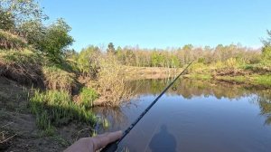 РЫБАЛКА МЕЧТЫ! Река Остёр