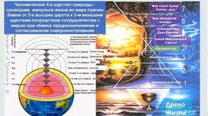 02.04.2026 Сонастройка на поток творения дня
