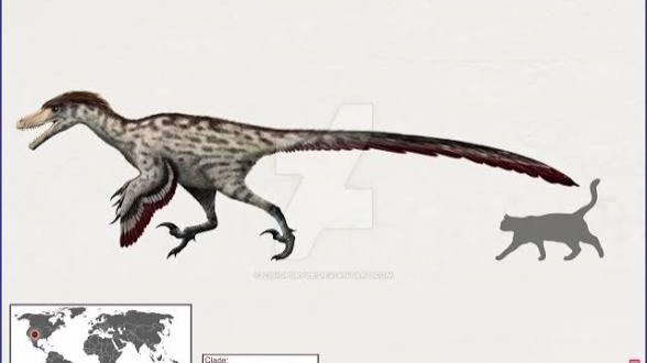 Динеобеллатор