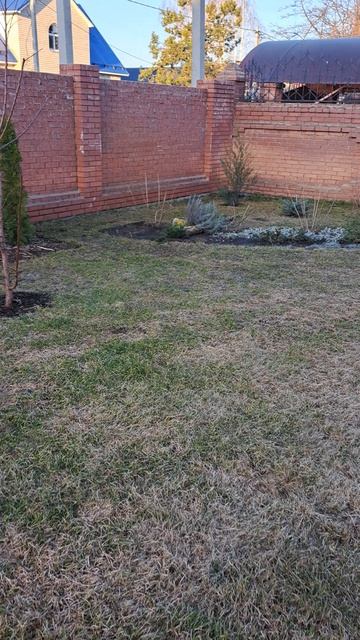 Доброе утро! Наш сад просыпается...