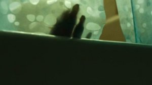 Дебютный трейлер к новому сериалу «Залив вдов» от Apple