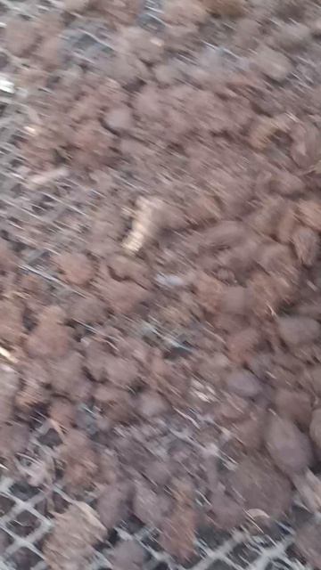 Обман Дачных рецептов