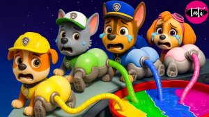 Щенячий патруль и Маршалл. Залипательное видео. Мультфильм для детей и малышей. Анимация 362