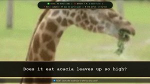 Present Simple song. Успей вставить слово!