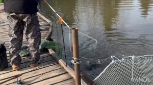 Вип зона.Поимки