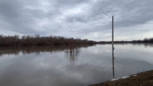 Река Ока перед разливом💦Лесопарк-ВДНХ Рязань март-апрель 2026