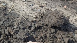 В полях вода, а я копаю!