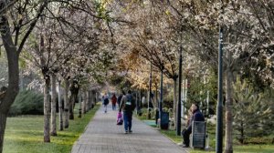 Анапа 4 апреля.. Все пошло не по плану...