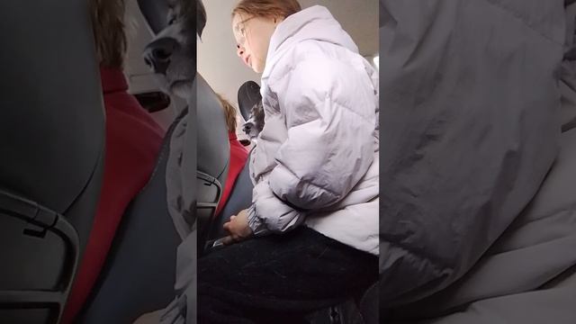 1000003966.mp4 смотреть онлайн