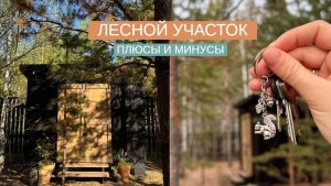 ЛЕСНОЙ УЧАСТОК. КАКИЕ ПРОБЛЕМЫ ВАС ЖДУТ?