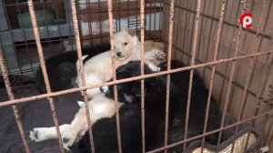 Доброе сердце 03.04.2026