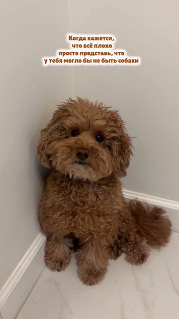 И новый день придет..🌱🌺