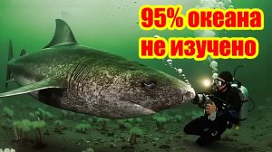 Лишь 5% океана изучено, а вот что открылось благодаря камерам.