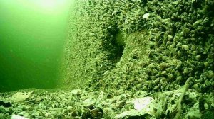 1000014216.mp4Волга гл.5м.05.04.2026г.