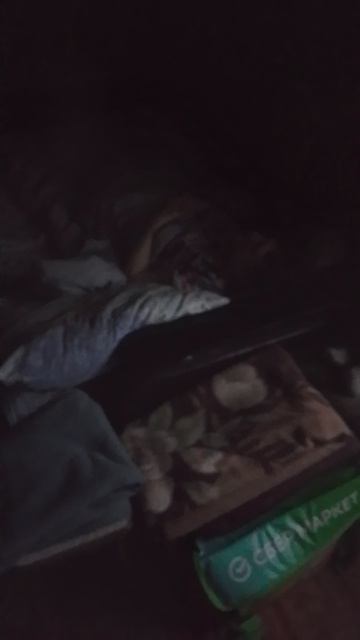 моя  девушка спит