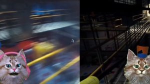 Мы с Юрским котиком проходим челлендж Поппи плейтайм 1. Кто быстрее? 🙀🙀🙀