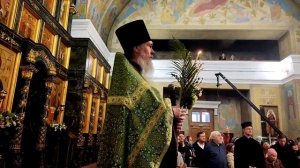 Проповедь прот. Сергия Алексеева за Всенощным бдение праздника Входа Господня в Иерусалим 04.04.26