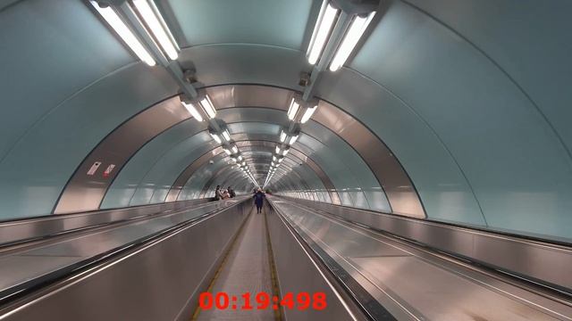 Спортивная-необычная станция метро в Санкт-Петербурге.