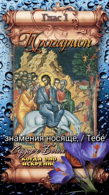 5 апреля Вход Господень во Иерусалим / Вербное воскресенье
