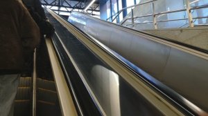 Станция метро Горный институт ,Питер