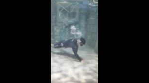 Океанариум vinpearl