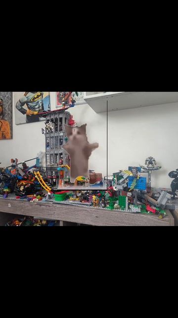 почему я не хочу себе кота