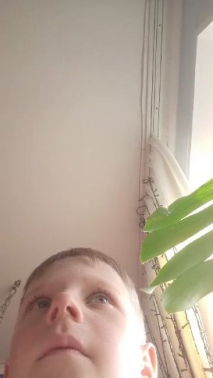 стрим номер:2️⃣