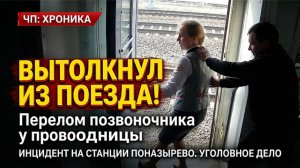 Пассажир вытолкнул проводницу из поезда — ЧП в Костромской области
