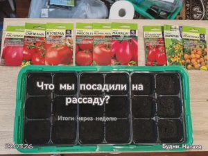 Рассада. Готовимся к дачному сезону!