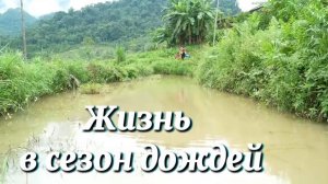 Ловим крупную рыбу в дождливый день. Жизнь в сезон дождей