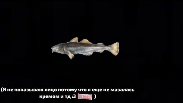 Мини история с (ХЭБЭШКОЙ😅) смотреть онлайн