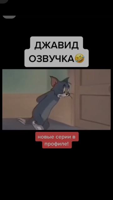 том и джери