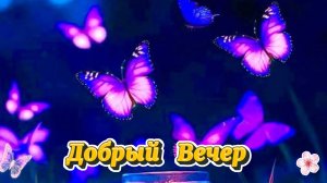 Открытка добрый вечер с пожеланиями 💙 Тихого вечера