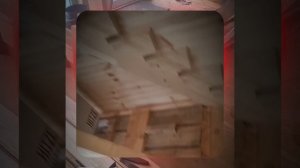 1000055111.mp4 (Собака наблюдает за устройством лестницы на 2-ой этаж в доме А-фрейм)