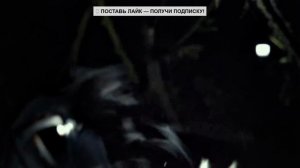 Ведьма из Блэр : Новая глава