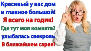 Свекровь приперлась жить. Я предложила ей будку во дворе! | История из жизни | Жизненная История