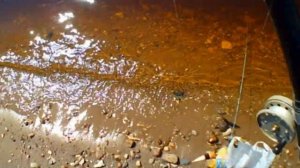 РЫБАЛКА НА ПОПЛАВОК С НАСАДКОЙ СОСИСКАFLOAT FISHING WITH SAUSAGE NOZZLE