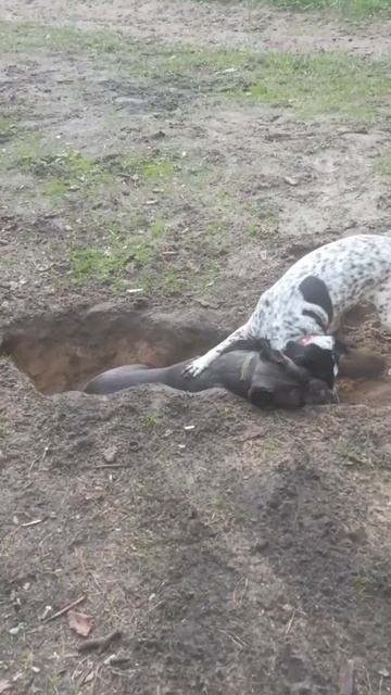 video_2025-10-27_04-50-14