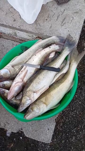 Пролюбил такой момент