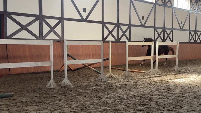 Thresure Pleasure-23